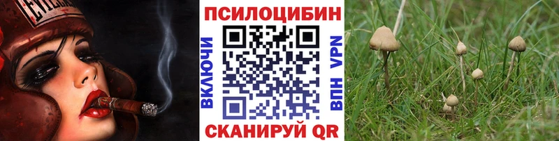 Псилоцибиновые грибы Magic Shrooms  ссылка на мегу сайт  Киров 
